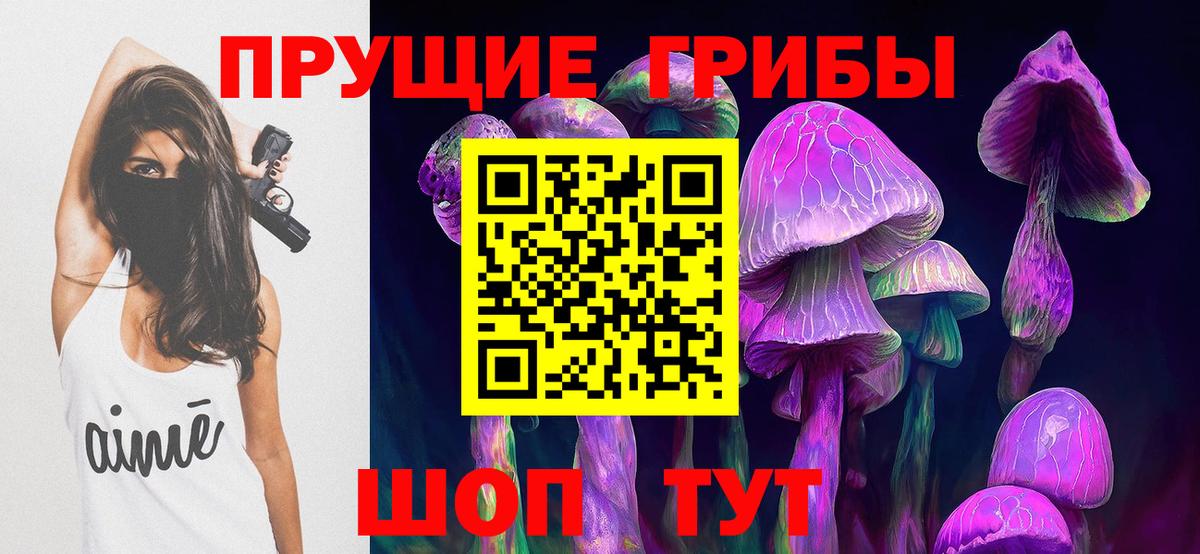 Псилоцибиновые грибы Cubensis Клин